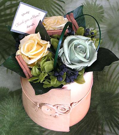 Flowerpot Cover "guru-guru"